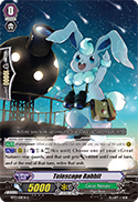 Telescope Rabbit