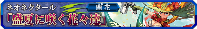 盛夏に咲く花々達