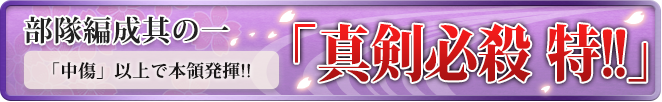 真剣必殺 特!!