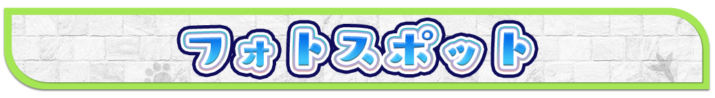 フォトスポット