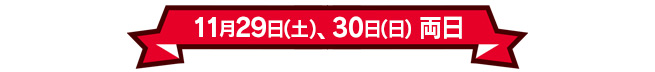 11月29日(土)、30日(日)両日