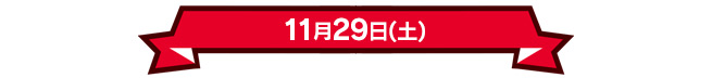 11月29日(土)