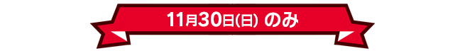 11月30日(日)のみ