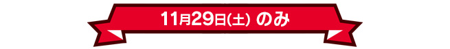 11月29日(土)のみ