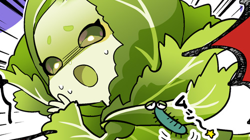 バックナンバー_#051