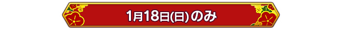 1月18日(日)のみ