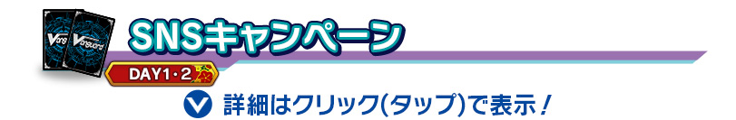 SNSキャンペーン