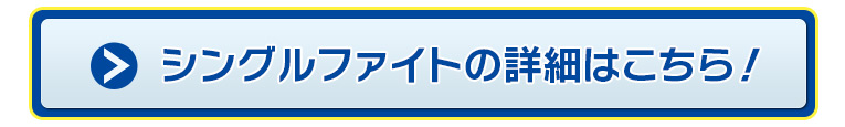 シングルファイトの詳細はこちら！