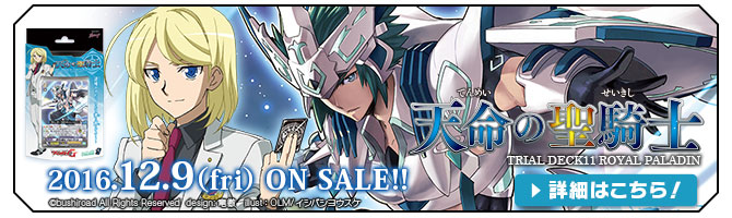 「天命の聖騎士」