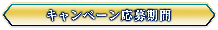 キャンペーン応募期間