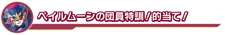 ペイルムーンの団員特訓！的当て！